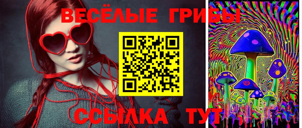 Псилоцибиновые грибы Psilocybe  Вход с VPN  Псков  Галлюциногенные грибы мицелий 