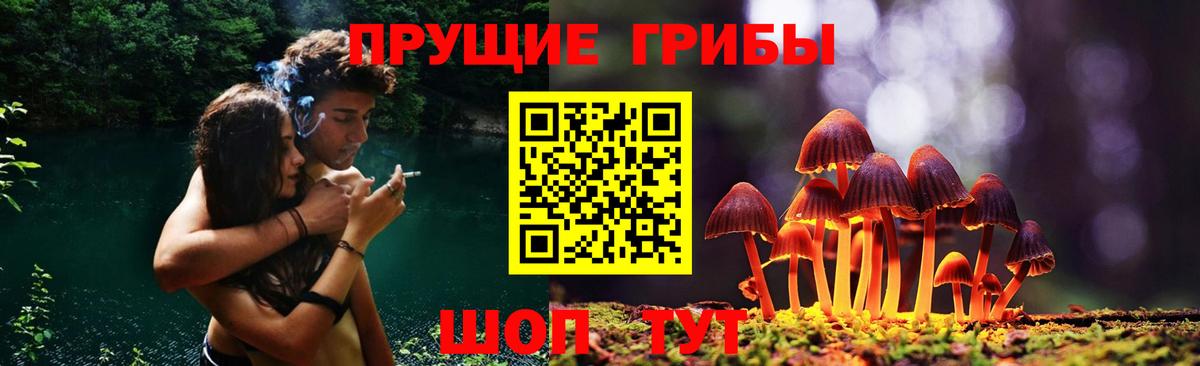Псилоцибиновые грибы мицелий Псков